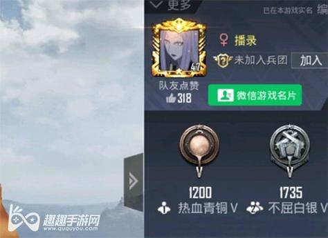 和平精英「火锅」辅助，站长首推
